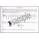Absolute Beginners Irish Tin Whistle 